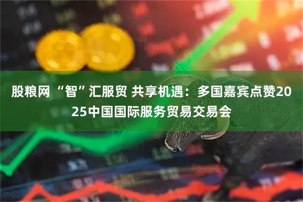 股粮网 “智”汇服贸 共享机遇：多国嘉宾点赞2025中国国际服务贸易交易会