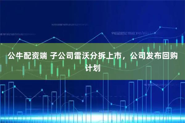 公牛配资端 子公司雷沃分拆上市，公司发布回购计划