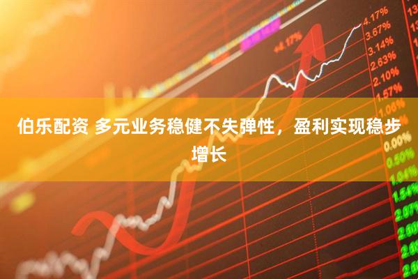伯乐配资 多元业务稳健不失弹性，盈利实现稳步增长