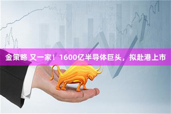 金策略 又一家！1600亿半导体巨头，拟赴港上市