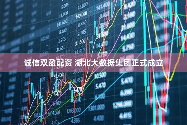 诚信双盈配资 湖北大数据集团正式成立