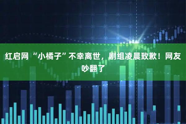 红启网 “小橘子”不幸离世，剧组凌晨致歉！网友吵翻了