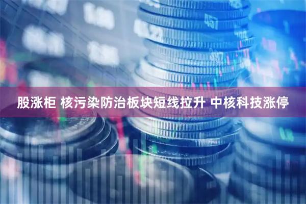 股涨柜 核污染防治板块短线拉升 中核科技涨停