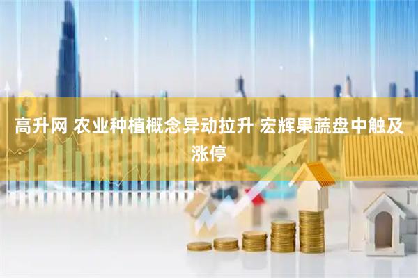 高升网 农业种植概念异动拉升 宏辉果蔬盘中触及涨停