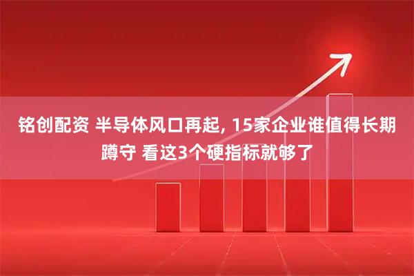 铭创配资 半导体风口再起, 15家企业谁值得长期蹲守 看这3个硬指标就够了