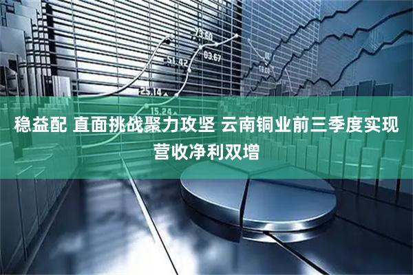 稳益配 直面挑战聚力攻坚 云南铜业前三季度实现营收净利双增