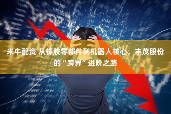 米牛配资 从橡胶零部件到机器人核心，丰茂股份的“跨界”进阶之路