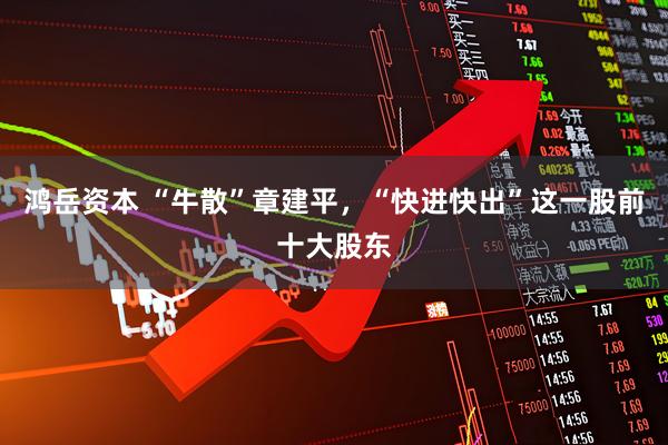 鸿岳资本 “牛散”章建平，“快进快出”这一股前十大股东