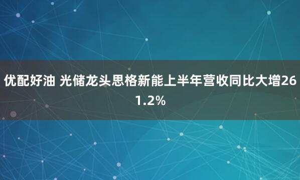 优配好油 光储龙头思格新能上半年营收同比大增261.2%